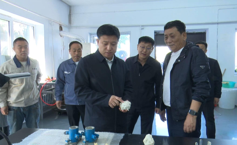 党建赋能聚合力 攻坚创新谋发展